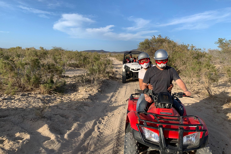 圣何塞卡波：东角 3 小时 ATV 之旅东角单人 ATV 车手