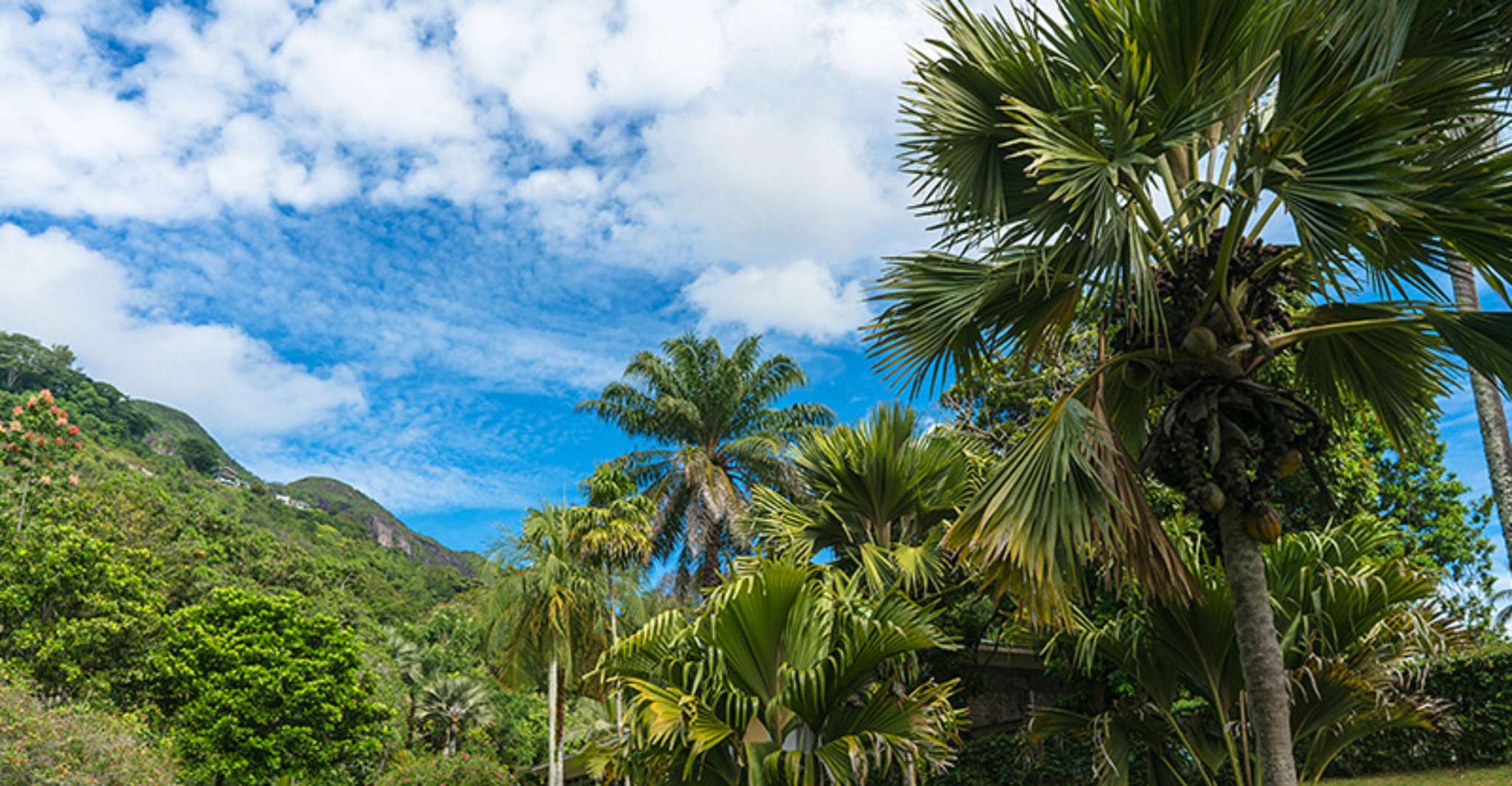 Mahé Island, Island Highlights Guided Day Trip with Lunch - Housity