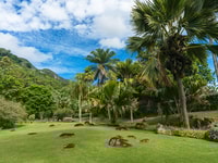 Mahé Island, Island Highlights Guided Day Trip with Lunch - Housity