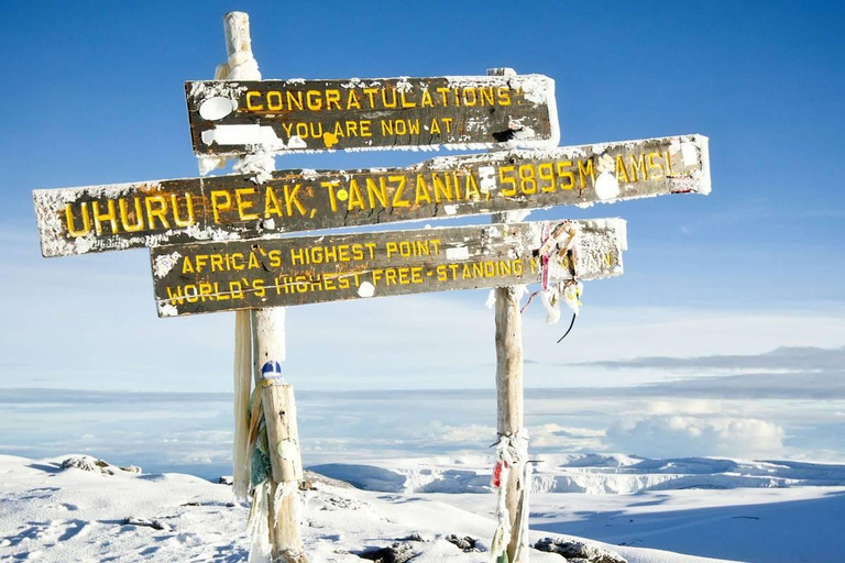 Beste Kilimanjaro dagwandeling - Machame Route - Zara Tours