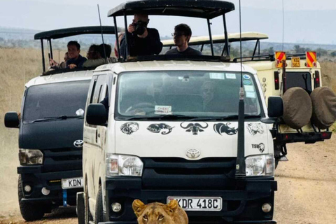 Nairobi National Park Safari Game Drive in a 4x4 Nairobi National Safari in a Private 4x4 Safari Van