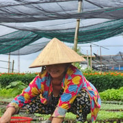 Can Tho: Countryside Cycling, Orchard Tea & Cooking Tour Can Tho: Countryside Cycling, Orchard Tea & Cooking Tour