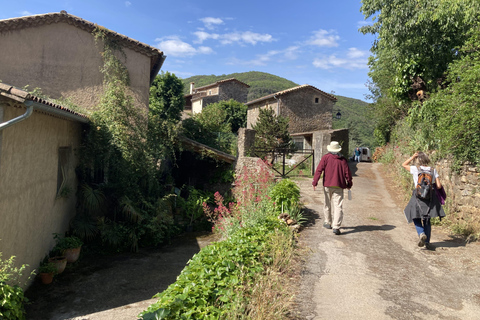 Excursion d&#039;une journée depuis Nîmes vers les Cévennes, montagnes classées au patrimoine mondial de l&#039;UNESCOExcursion d&#039;une journée dans les terres préservées des Cévennes