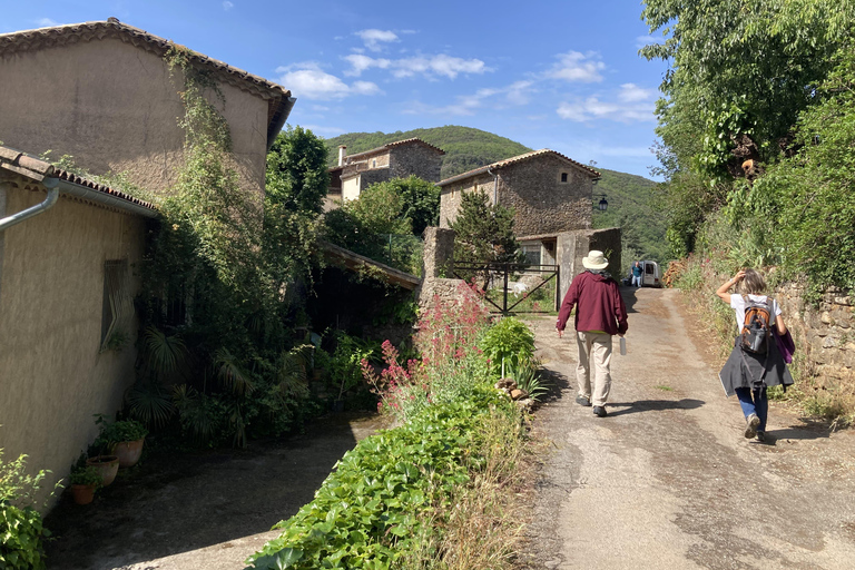 Excursion d&#039;une journée depuis Nîmes vers les Cévennes, montagnes classées au patrimoine mondial de l&#039;UNESCOExcursion d&#039;une journée dans les terres préservées des Cévennes