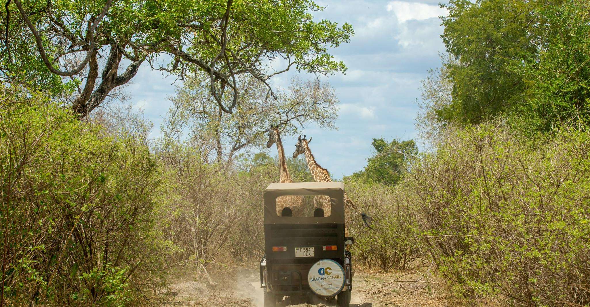 From Zanzibar, Selous Game Reserve Day Safari with Flights - Housity