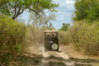 Von Sansibar, Selous Game Reserve Day Safari mit Flügen - Housity