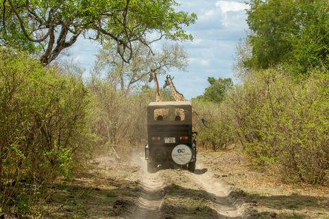 From Zanzibar: Nyerere National Park Day Safari with Flights