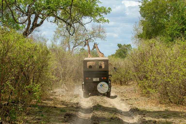 From Zanzibar: Selous Game Reserve Day Safari with FlightsShared Day Safari