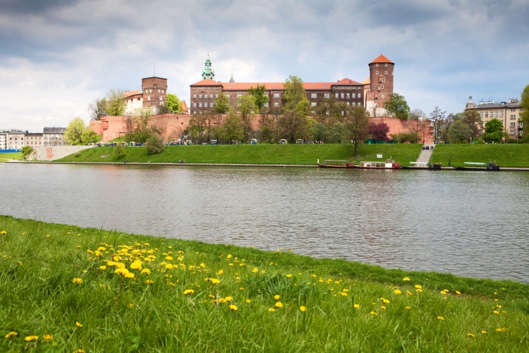 Cracovie : château de Wawel, cathédrale, métro Rynek et déjeuner