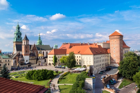 Cracovie : château de Wawel, cathédrale, métro Rynek et déjeuner