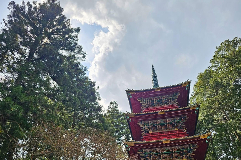 Nikko Private Day Tour with English Speaking Expert Driver