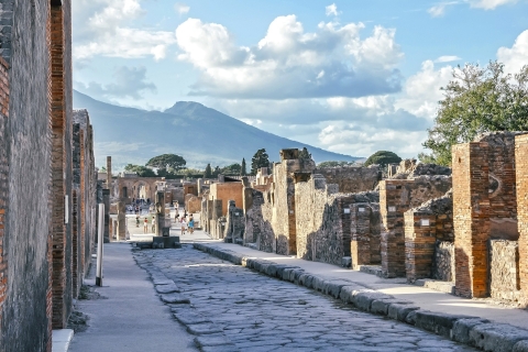 Pompeii: Private Guided Tour with Lunch