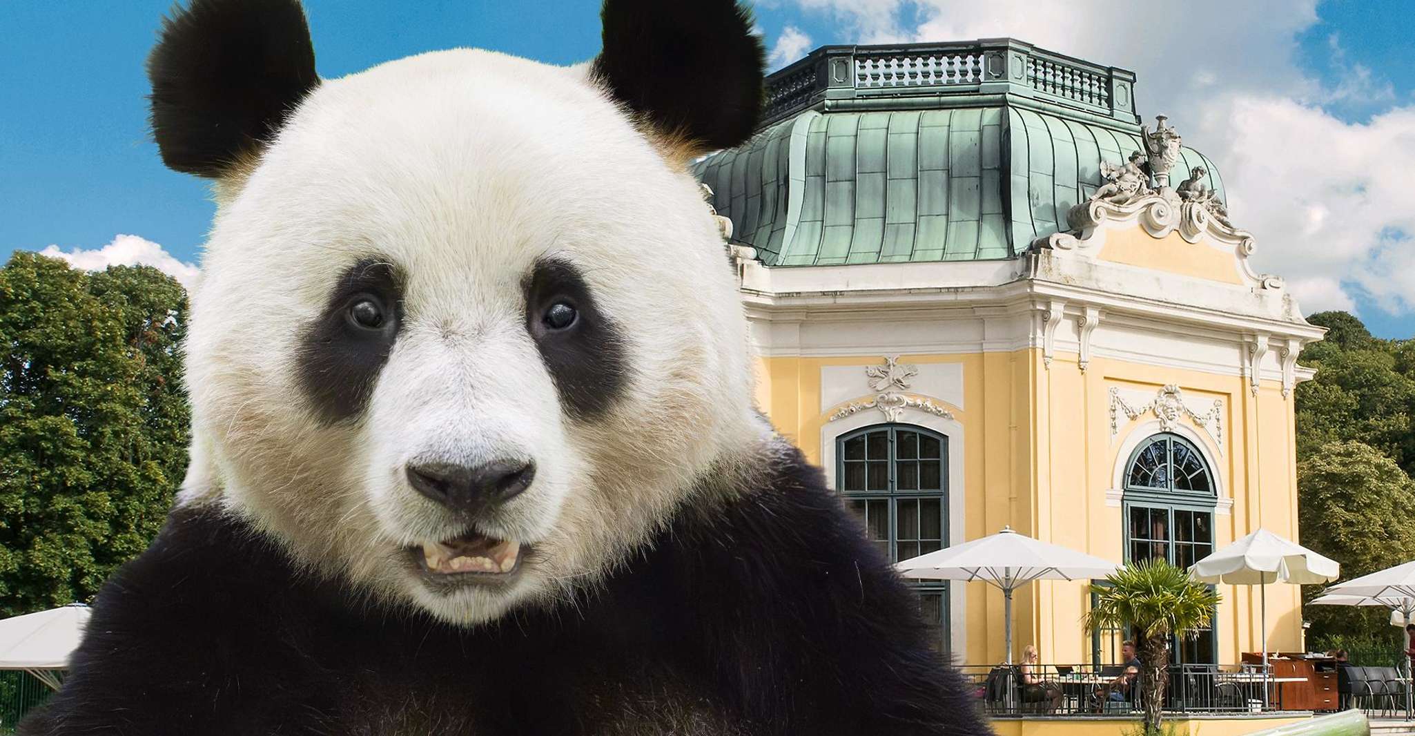 Vienna: Skip-the-line Tickets for Schönbrunn Zoo