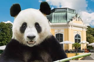 Wien: Tickets ohne Anstehen für den Tiergarten Schönbrunn
