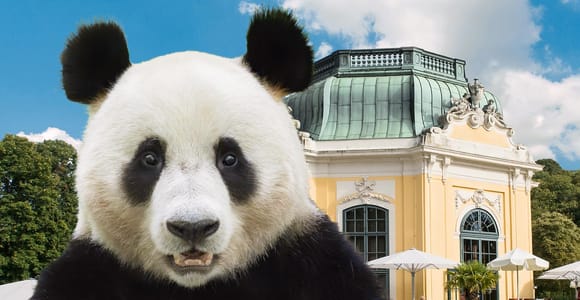 Vienna: Skip-the-line Tickets for Schönbrunn Zoo