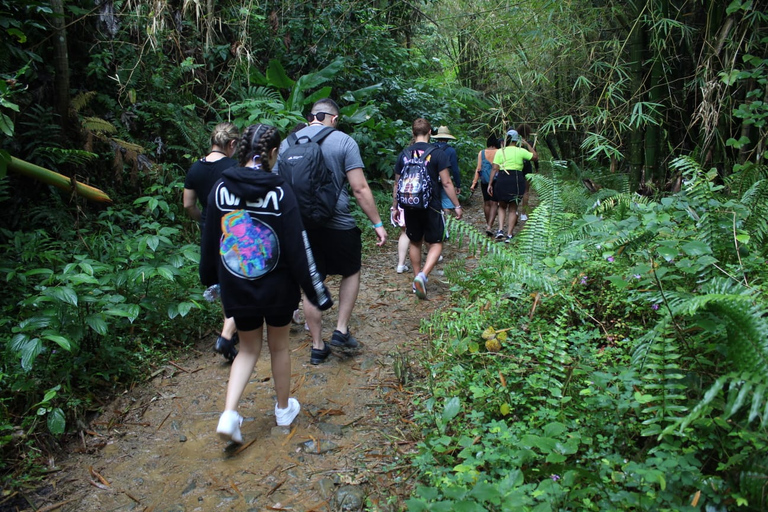 From San Juan: Rainforest Walk, Nature Swim & Luquillo Beach