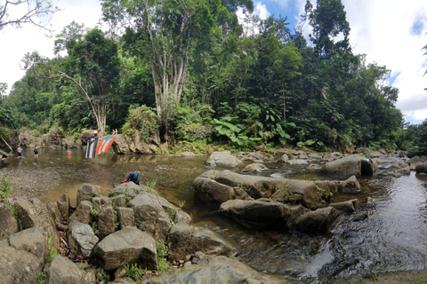 From San Juan: Rainforest Walk, Nature Swim & Luquillo Beach