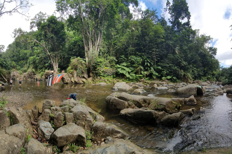 From San Juan: Rainforest Walk, Nature Swim & Luquillo Beach