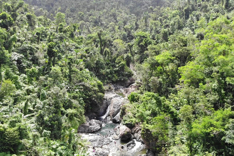 From San Juan: Rainforest Walk, Nature Swim & Luquillo Beach