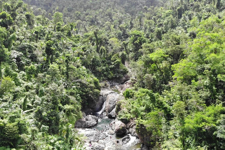 Au départ de San Juan : Promenade dans la forêt tropicale, baignade dans la nature et plage de Luquillo