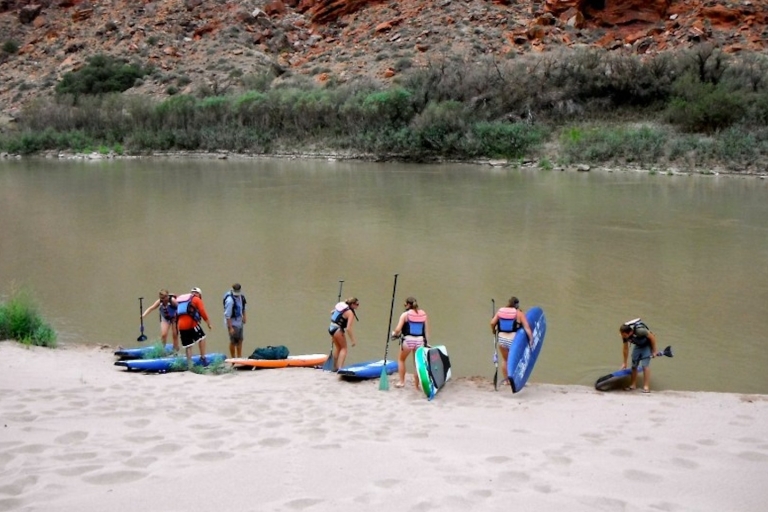 Moab: Splish and Splash Paddleboading op Colorado RiverSpetter en plons