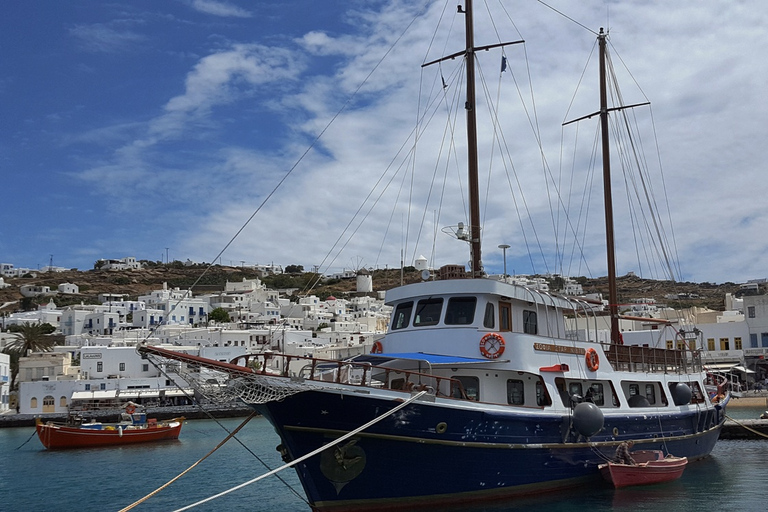 Mykonos: boottocht naar Delos en Rhenia met lunchMykonos: boottocht naar Delos en Rhenia met BBQ-lunch