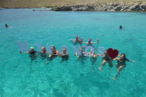 From Mykonos: Cruise to Delos and Rhenia with Lunch