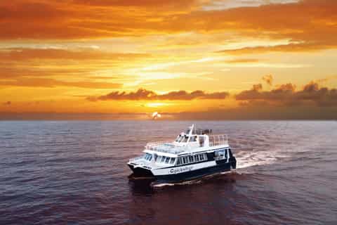 Lahaina, Maui: Sunset Dinner Cruise from Lahaina Harbor