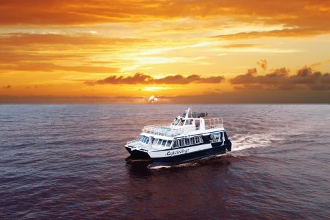 Ab Lahaina: Sunset Prime Rib oder Mahi Mahi Dinner Cruise