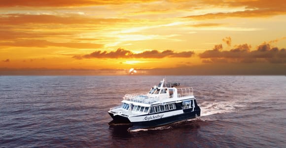 From Ma&#39;alaea: Sunset Dinner Cruise Aboard the Quicksilver