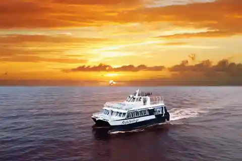 Da Ma'alaea: crociera con cena al tramonto a bordo del Quicksilver