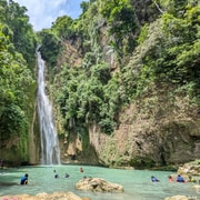 Moalboal Sardine Run, Sea Turtle & Mantayupan Falls Moalboal Sardine Run, Sea Turtle & Mantayupan Falls