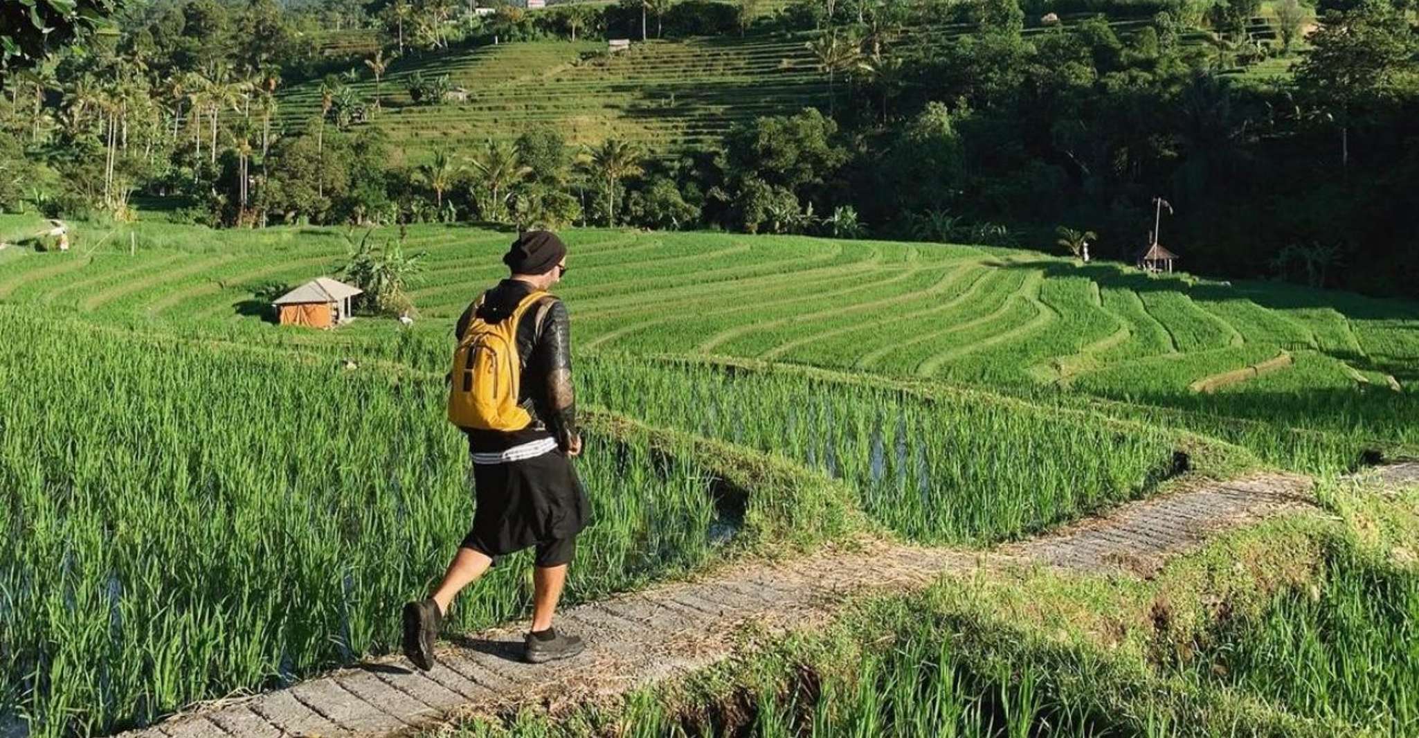 Sightseeing Full-day private Ubud tour - Housity