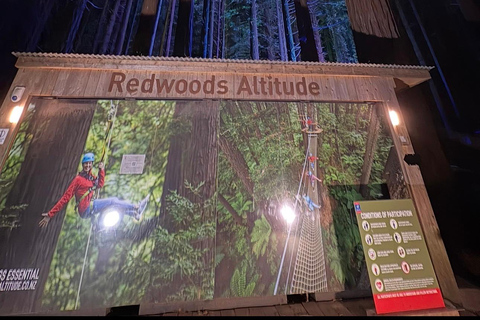 From Auckland: Rotorua Lakes, Redwood & Geothermal Day Trip