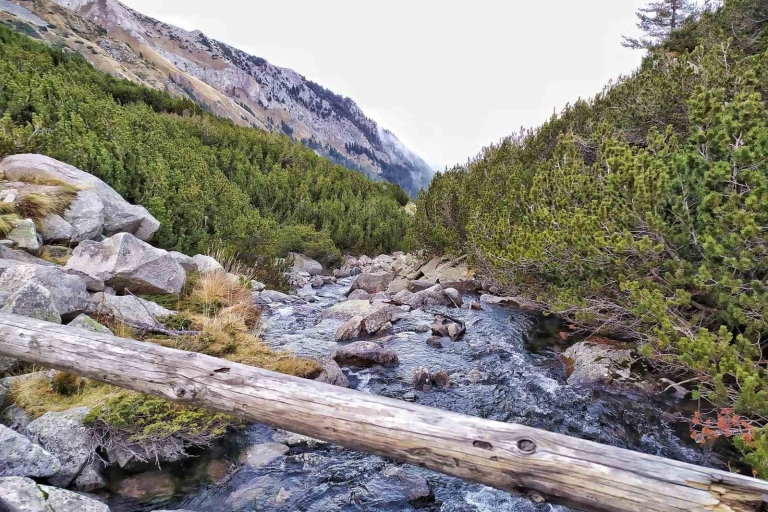 Sofía: caminata al parque nacional de Pirin y visita a Bansko con almuerzo