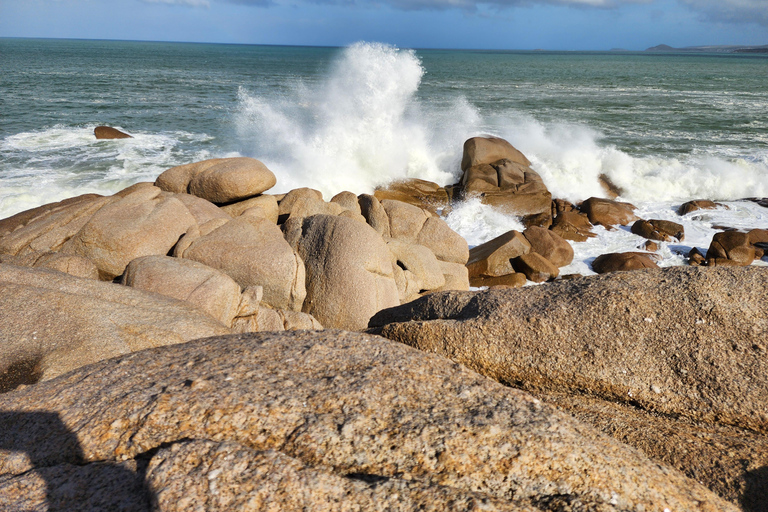 Adelaide: McLaren Vale, Port Elliot & Victor Harbor Tour