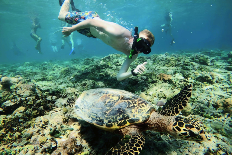 Gili Trawangan: Dolphin Watching and Private Snorkeling Tour