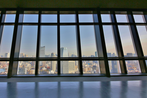 Tour de Tokyo : billet d’entréBillet d'entrée au pont principal (150 m)