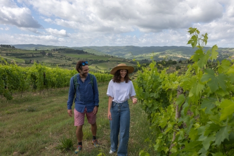 Florenz: Toskana & Chianti Classico Trek & Wein mit MittagessenErfahrung in kleiner Gruppe