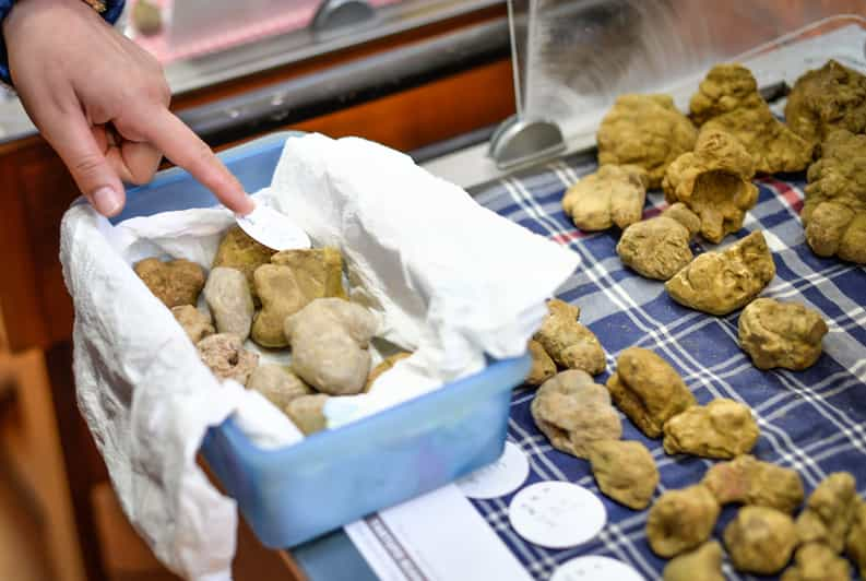 Alba Truffle Fair: Skip-the-Line Entrance and Private Tour | GetYourGuide