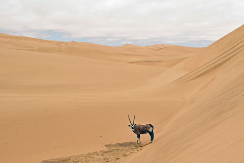 Walvis Bay: Sandwich Harbour Sunset Photography Tour