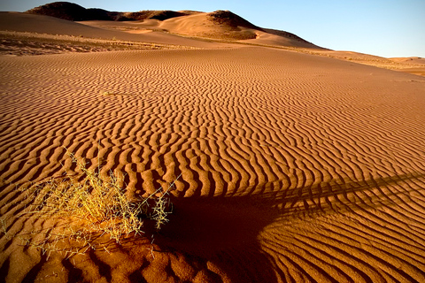 Walvis Bay: Sandwich Harbour Sunset Photography Tour