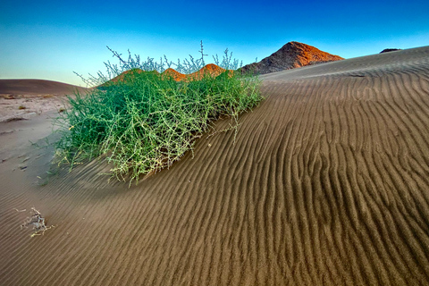 Walvis Bay : Visite photographique du port de Sandwich au coucher du soleil