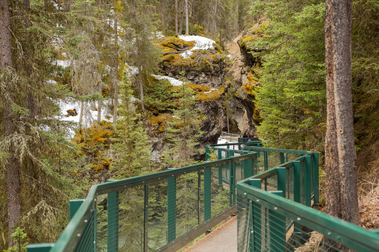 Tagestour zum Peyto Lake, Lake Louise, Johnston Canyon, mehr.Abfahrt von Canmore