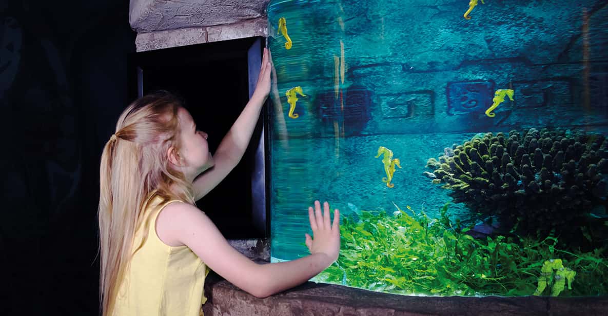 Afbeelding 11 van Oberhausen: SEA LIFE Oberhausen toegangsbewijs