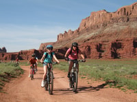 Moab, Mountain Bike Half Day Tour - Housity