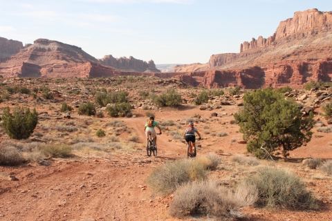 Moab: Excursión de medio día en bicicleta de montaña