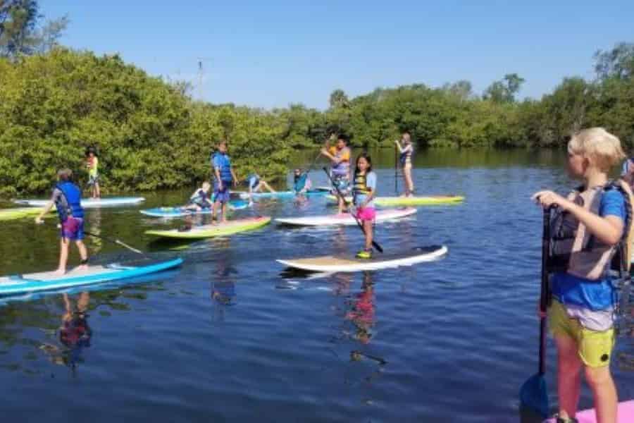 Siesta Key: Mangroven Kajak oder Paddleboard Tour. Foto: GetYourGuide
