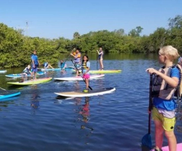 Siesta Key: Mangrove Kayak or Paddleboard Tour