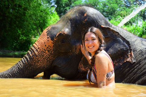 Phuket: Elephant Save & Care -ohjelmakierros